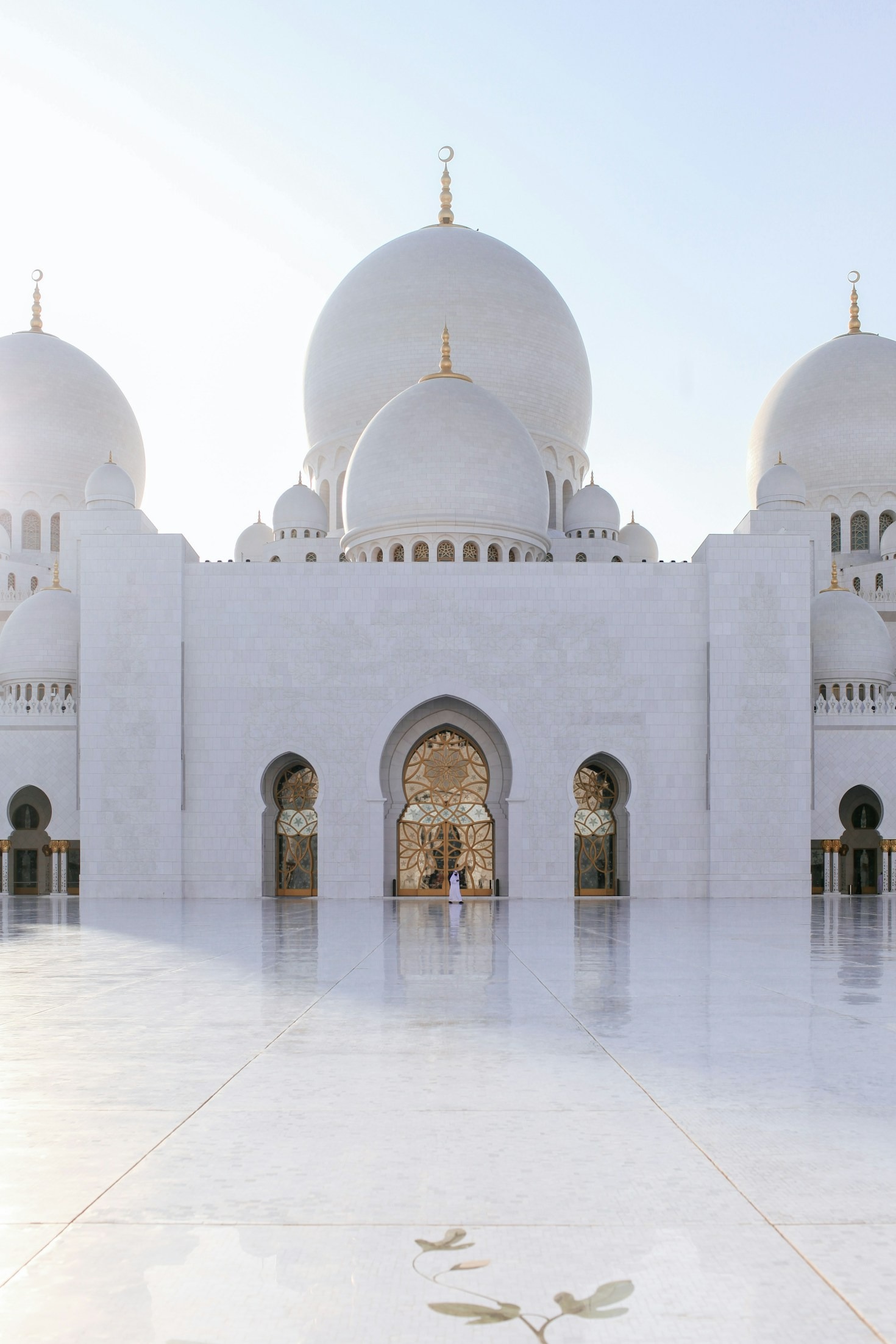 Insights from Our Qur’anic Study Circles